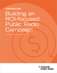 Building an ROI-focused Public Radio Campaign eBook Cover